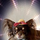  , -, 68  -  14  2025    