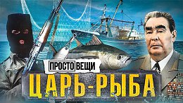 ����: ������� �������� / ���������� / ������