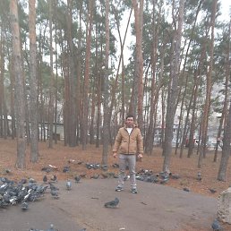 ���, �������, 31 ���