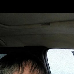 ����, ������, 42 ����