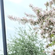 �������, 39 ���, �����-���������