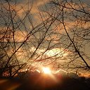 ���� �����, ����, 25 ��� - ��������� 5 ������ 2024 � ������ ���� ����������