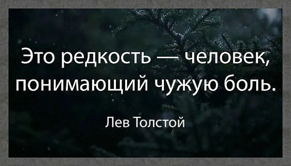 ☆ ☆ - 28  2025  12:17