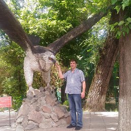 �����, ������, 50 ���