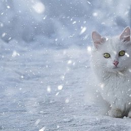 ���� �����, ������, 31 ��� - ��������� 24 ������� 2023