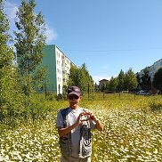 ������� ��������, 49 ���, �����-���������