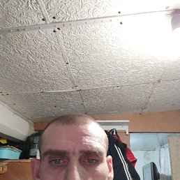 ������, 42 ����, ��������