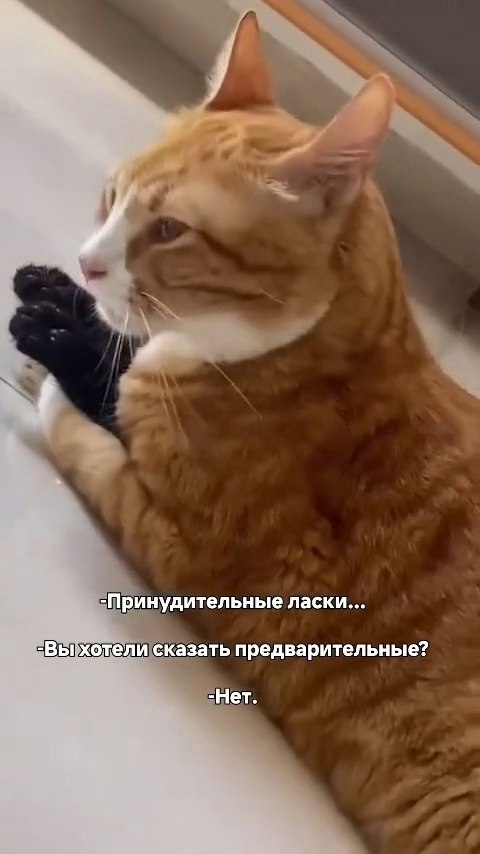 ������ ��������� �������)