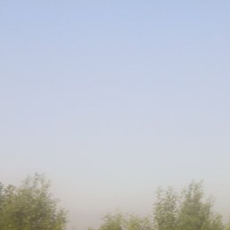 ����, �����-���������, 46 ���