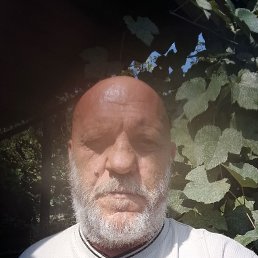 , 49 , 