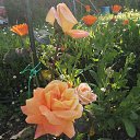 ���� Olga., �������, 63 ���� - ��������� 29 ������� 2025 � ������ ������ ��������