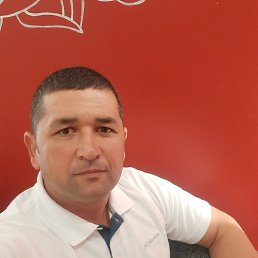 , 37, 