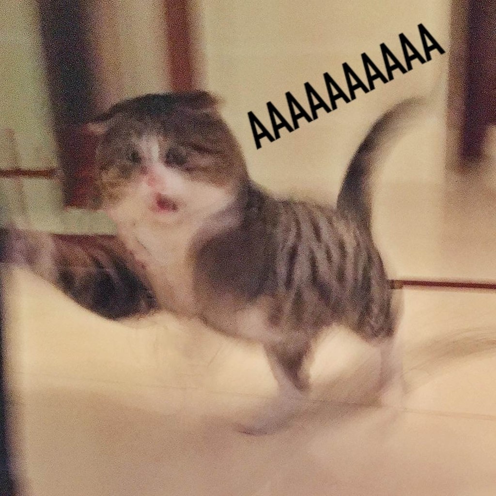      - 4