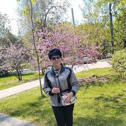 ���� �����, ���������, 66 ��� - ��������� 18 ������ 2026