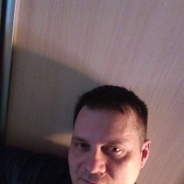 ��������, 41 ���, ������