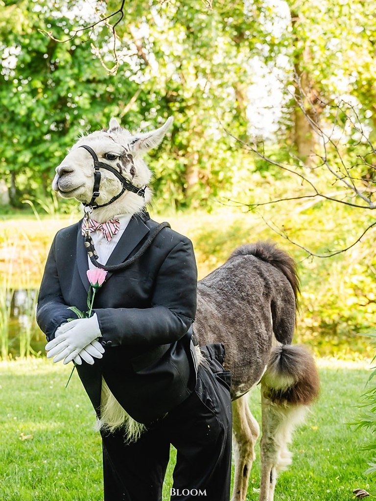  a.  o ap  po aepa a  oa aa  co aa aa, o c  aa ... - 5