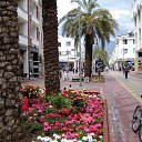 ���� ���������, ������, 67 ��� - ��������� 22 ������ 2026 � ������ ������ 2024�