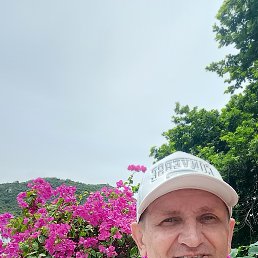 , 41, 