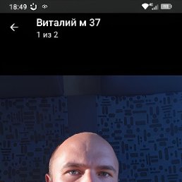 , 33,  