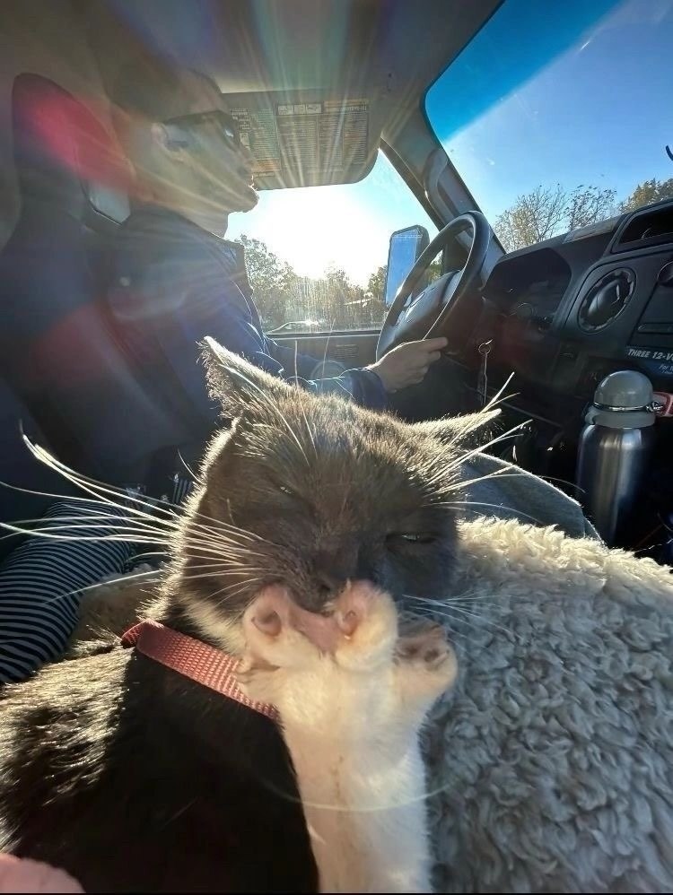 Друзья: ведут себя нормально.Я: