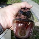 ���� ������, �����������, 48 ��� - ��������� 25 ������� 2025 � ������ ���� ����������