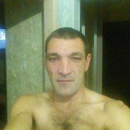 �����, ������-��������, 45 ���