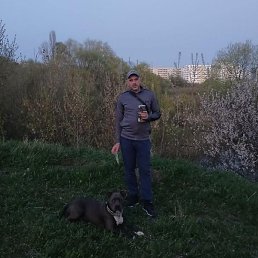 D, �������, 27 ���