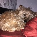 ���� �������, ������-��-����, 57 ��� - ��������� 19 ������ 2025 � ������ ������ ��������