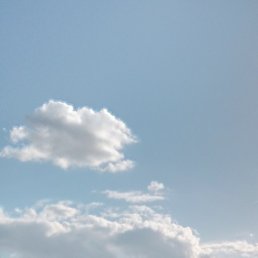 �����, �����, 42 ����