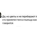 ���� ����� (������ �������))), ���������, 45 ��� - ��������� 26 ����� 2026 � ������ ������ ��������