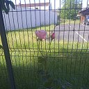 ���� Danil, ��������� - ��������� 11 ������� 2026 � ������ ���� ����������