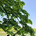 ���� �������, �����������, 61 ��� - ��������� 18 ���� 2025 � ������ ���� ����������