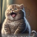 ���� ����, ������, 35 ��� - ��������� 8 ����� 2026