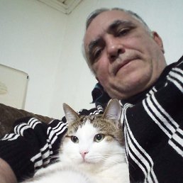 , 45, 