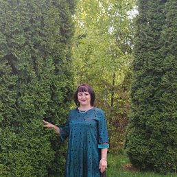 ���� �����, �������� - ��������� 15 ������� 2025