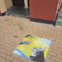 ����, ������, 41 ���