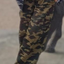 �������, ���������, 60 ���