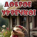 ���� �������, �������� - ��������� 17 �������� 2025 � ������ ���� ����������