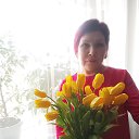 ���� ����, ����������, 64 ���� - ��������� 20 ������ 2026 � ������ ���� ����������
