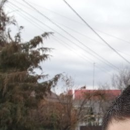 �����, ����-�������, 20 ���