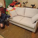 ���� �������, �����������, 42 ���� - ��������� 23 ��� 2025 � ������ ���� ����������