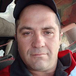 �����, ������, 44 ����