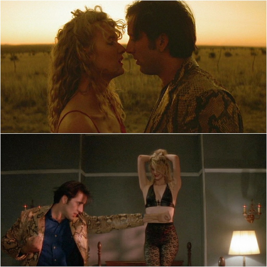   / Wild at Heart (1990).:  :  