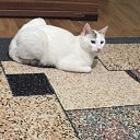 ���� Kemal, �������, 64 ���� - ��������� 17 ��� 2026