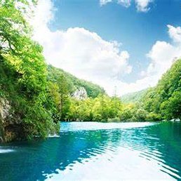 ���, ��������, 29 ���