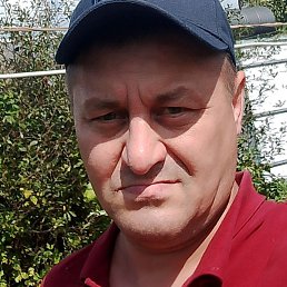 �������, ���������, 46 ���