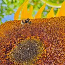 ���� Alpha, ������ - ��������� 21 �������� 2024 � ������ ��������� �����. �� �������� �������.�