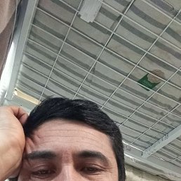 , 42, 