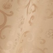 ������, 50 ���, ��������