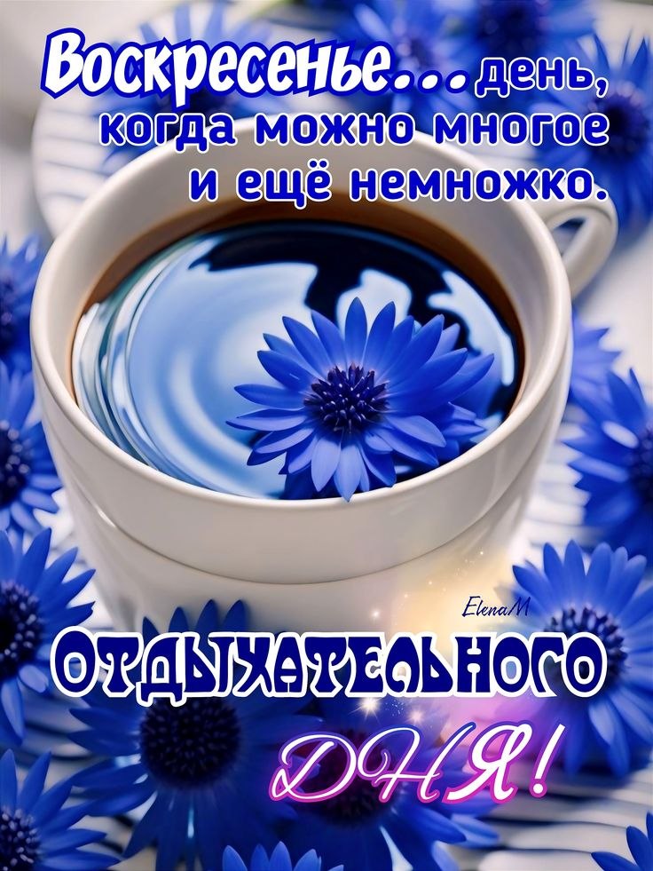 ��� ���� - 17 ��� 2026 � 14:32